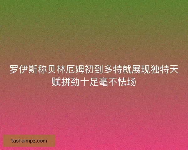 罗伊斯称贝林厄姆初到多特就展现独特天赋拼劲十足毫不怯场