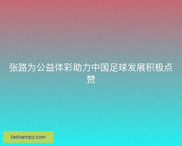 张路为公益体彩助力中国足球发展积极点赞