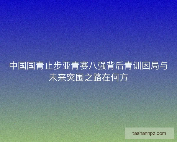 中国国青止步亚青赛八强背后青训困局与未来突围之路在何方