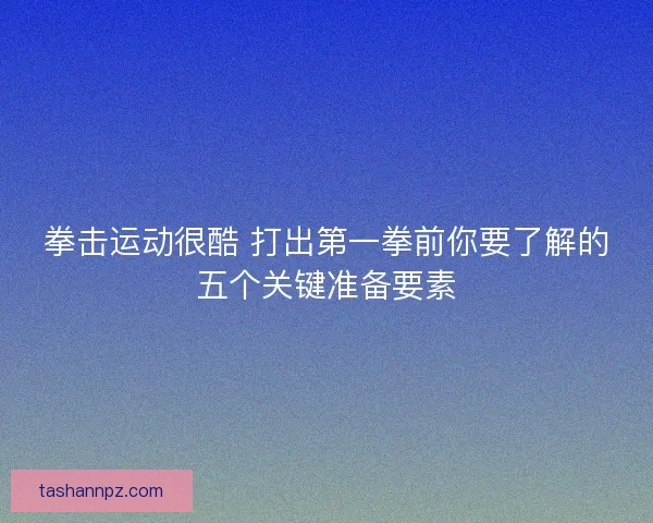 拳击运动很酷 打出第一拳前你要了解的五个关键准备要素