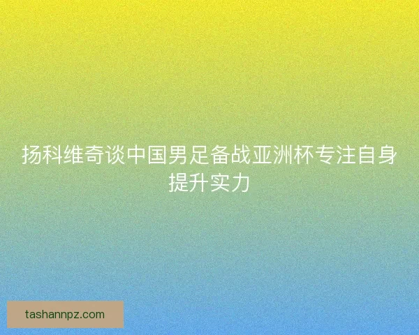 扬科维奇谈中国男足备战亚洲杯专注自身提升实力