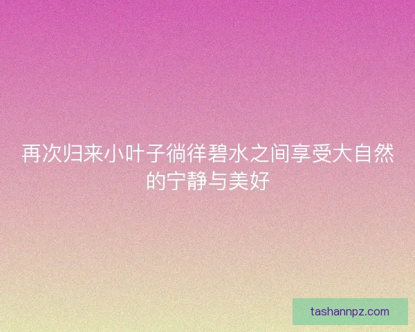 再次归来小叶子徜徉碧水之间享受大自然的宁静与美好