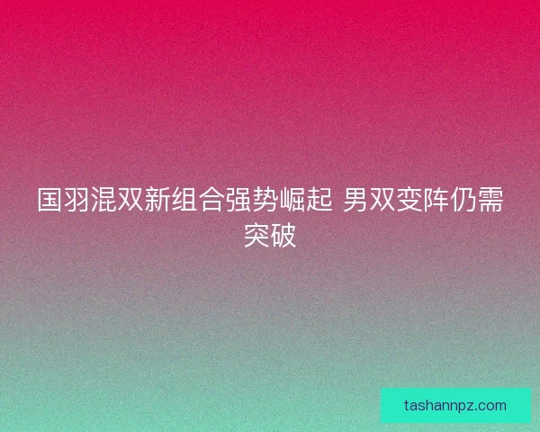 国羽混双新组合强势崛起 男双变阵仍需突破