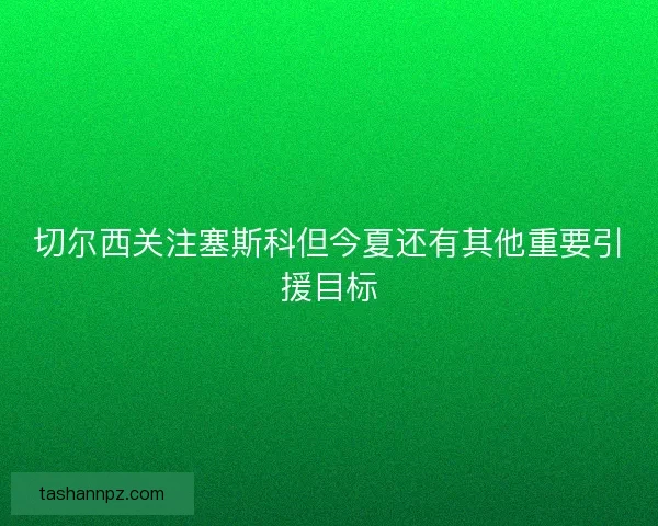 切尔西关注塞斯科但今夏还有其他重要引援目标 切尔西关注塞斯科但今夏还有其他重要引援目标